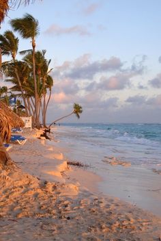 the beach is lined with palm trees and lounge chairs under a blue sky at sunset