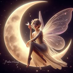 a fairy sitting on the moon with a butterfly in her hand and holding a flower