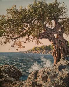 an oil painting of a tree by the ocean with waves crashing on it's rocks