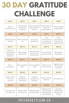 30 day gratitude challenge ideas How To Express Gratitude To Someone, 365 Days Of Gratitude, Gratitude Bullet Journal, Journal Prompts Gratitude, Gratitude Ideas, 30 Days Of Gratitude, Spiritual Garden, Teacher Motivation