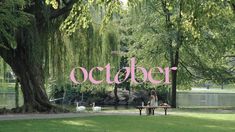 two people sitting on a bench in front of a tree with the word october written across it