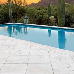 an empty swimming pool surrounded by cacti and cactus