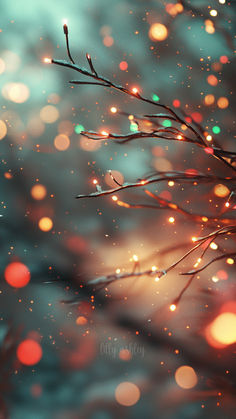 blurry photograph of tree branches with lights in the background