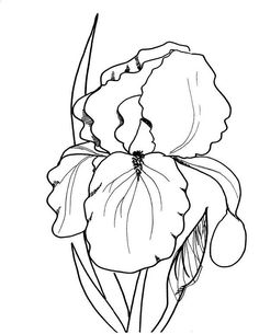 a black and white drawing of a flower