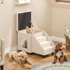 two dogs and a cat are sitting on the floor in front of their pet house