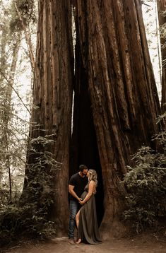 a man and woman standing in front of a giant tree