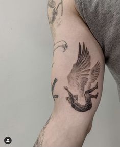 a man with a tattoo on his arm has a bird and two birds in the air