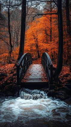 a wooden bridge over a small river in the middle of trees with orange leaves on them