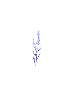 a drawing of a flower on a white background