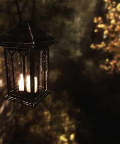 two candles are lit in an old fashioned lantern hanging from a tree with leaves on it