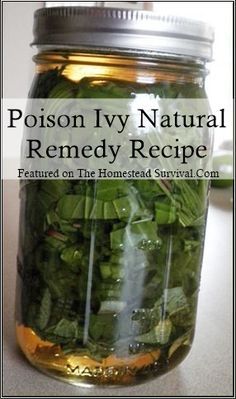 Poison Ivy Remedies, Diy Remedies, The Homestead, Homestead Survival, Natural Therapy, Homemade Remedies, Natural Remedy, Healing Herbs