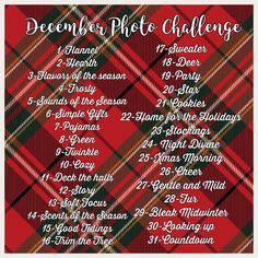 the december photo challenge is on display in front of a red and green plaid background