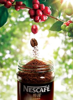 coffee being poured into a jar with red berries on the tree in the back ground