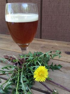 a glass of beer sitting on top of a wooden table next to a dandelion