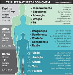 an info poster showing the different types of men's body and how they can help them