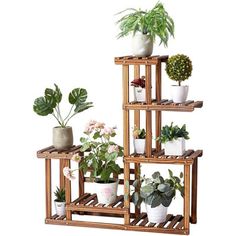 three tiered plant stand with potted plants on each shelf and one holding several different types of houseplants