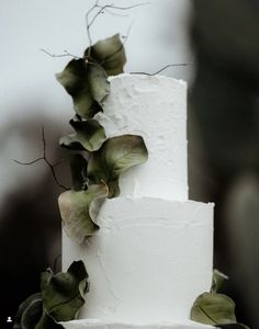 a white wedding cake with green leaves on top