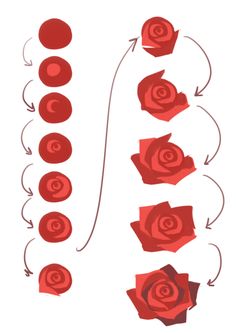 red roses are arranged in the shape of an arrow, with arrows pointing to them