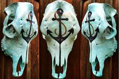 three cow skulls with an anchor painted on them are hanging on a wooden wall in front of a door