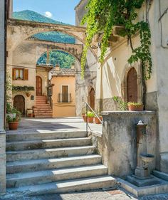 the entrance to an old building with steps leading up to it and potted plants on either side