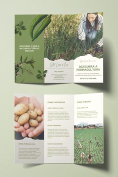 an open brochure with images of vegetables and people in the background