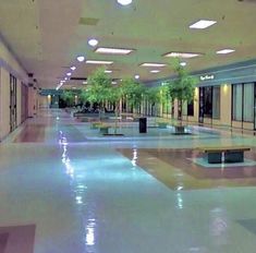 an empty hallway with benches and plants in the center is lit by recessed lights