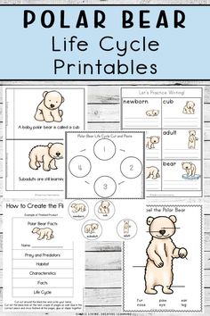 polar bear life cycle printables for kids to use in their homeschool