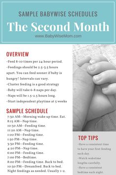 a baby's hand holding its mother's hand with the text sample schedule