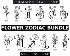 the zodiac signs bundle is shown in black and white, with different font styles to choose from