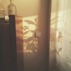 the light is shining on the wall in the room next to the door and window