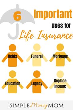 the six important uses for life insurence infos are shown in orange and white