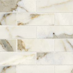 white marble tile with gold veining on the edges