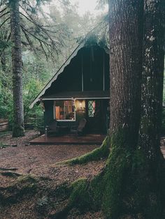 a small cabin in the woods surrounded by tall trees and mossy grass on the ground