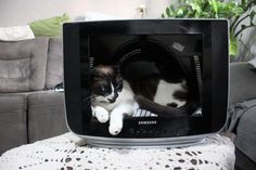 a black and white cat laying on top of a tv