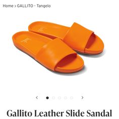 Beek Gallito Sandal Never Worn Size 11 Color Light Orange. Light Orange Is Different Than The Orange Currently On Website. See Photos. Light Orange Color, Orange Light, Light Orange, Color Orange, Color Light, Women's Shoes Sandals, See Photo, Orange Color, Light Colors