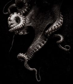 black and white photo of an octopus head with tentacles on it's face, in the dark