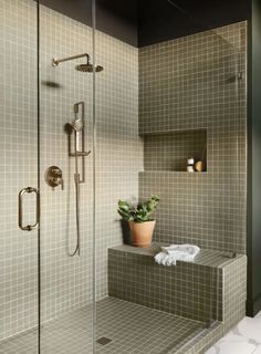 a bathroom with a glass shower door and tiled walls, along with a potted plant