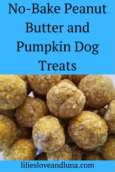 no bake peanut butter and pumpkin dog treats