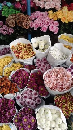 many different types of flowers are arranged in baskets