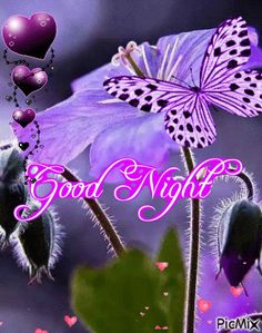 a purple flower and butterfly with the words good night