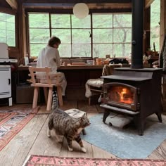 a woman sitting at a table with a cat in front of an open fire place