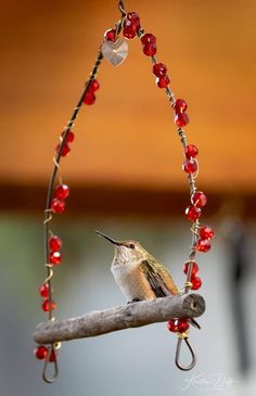 a small bird sitting on top of a branch with red beads hanging from it's neck