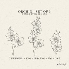 orchid set of 3 hand drawn designs