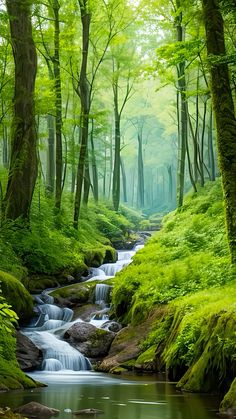 a stream running through a lush green forest filled with lots of trees and grass covered rocks