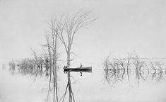 two people in a rowboat on a lake surrounded by dead trees and water with no leaves