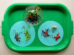 a green tray with three different types of plastic animals and letters on it that spell out reptiles