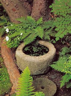 a stone planter sitting next to a tree in the middle of a lush green forest