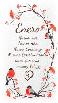 a red bird sitting on top of a tree branch with the words enero written in spanish