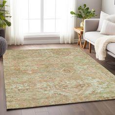 a living room with a large rug on the floor and a window in the background