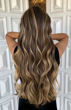 Highlights In Long Hair, Honey Hair Highlights, Hair Highlights For Brown Hair, Hair Highlights Blonde, Light Brown Hair Shades, Blonde Hair Highlights, Highlights For Brown Hair, Highlight Ideas, Hair Highlight